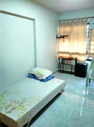 bukit-batok-street-25 photo thumbnail #8
